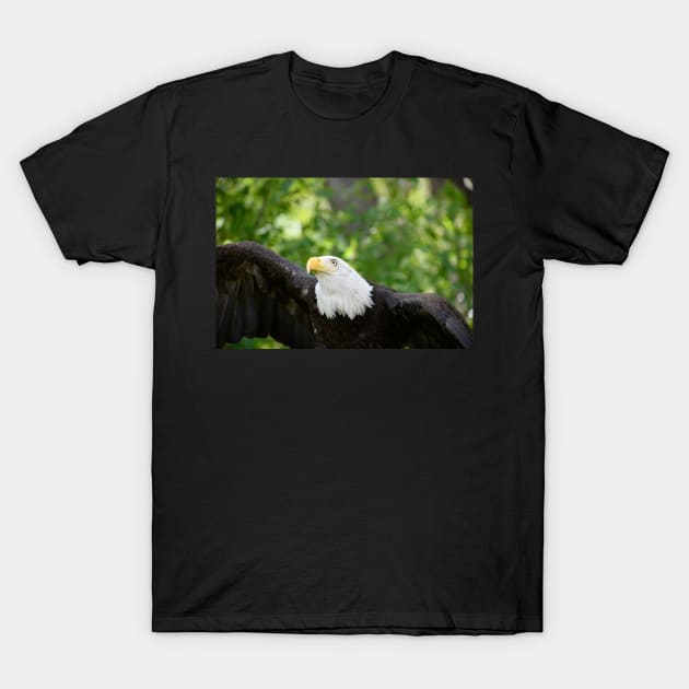 Focused T-Shirt by gdb2